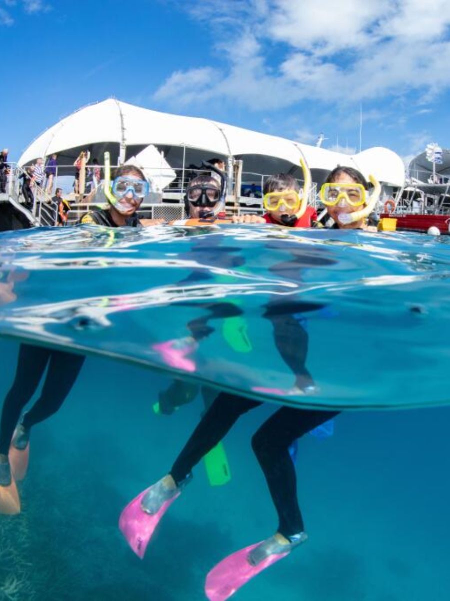 Incentive group on a private Great Barrier Reef pontoon