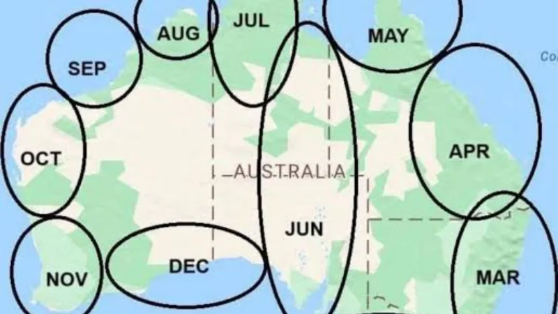 Best Time to Visit Australia