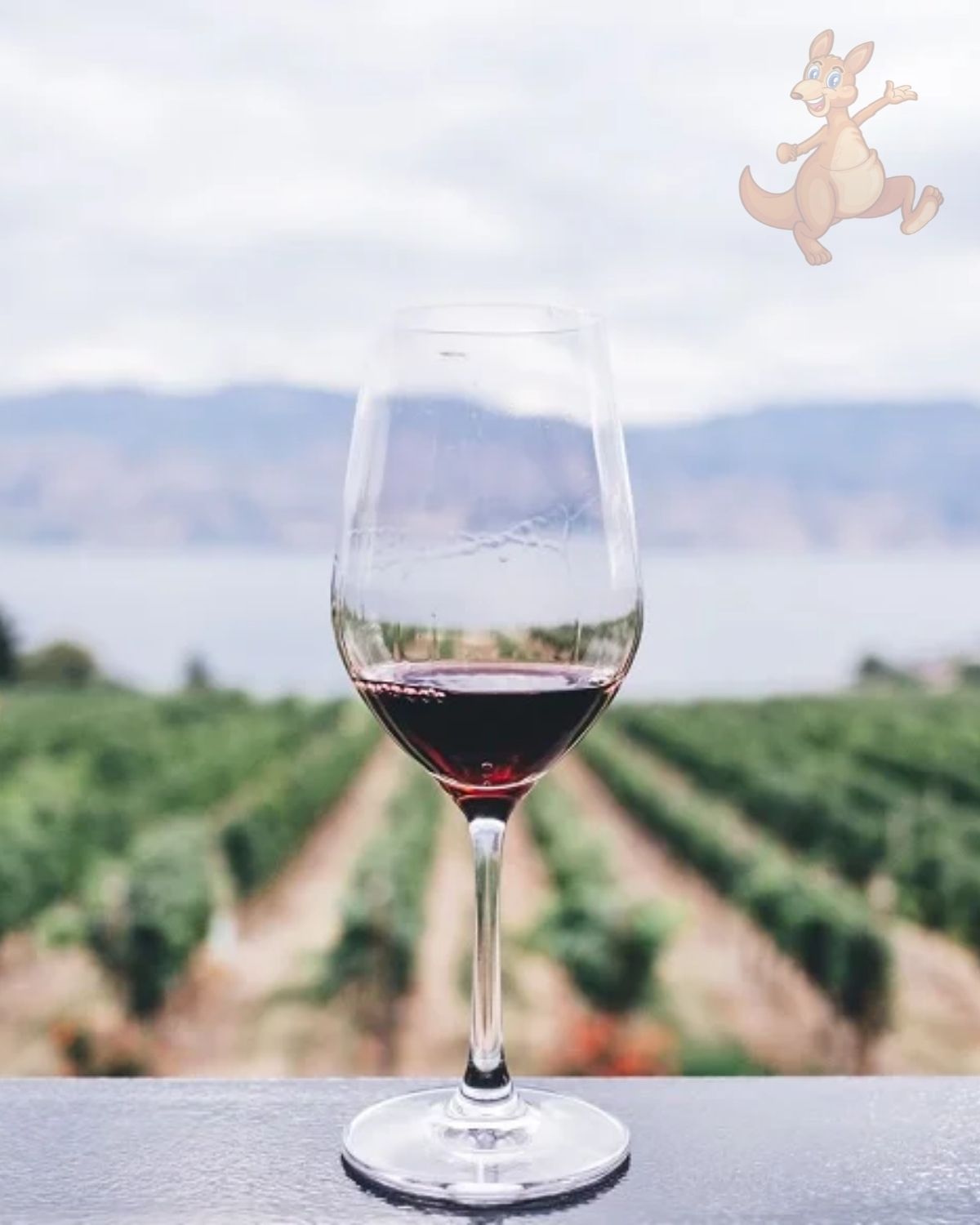 Barossa Valley wine tasting Australia