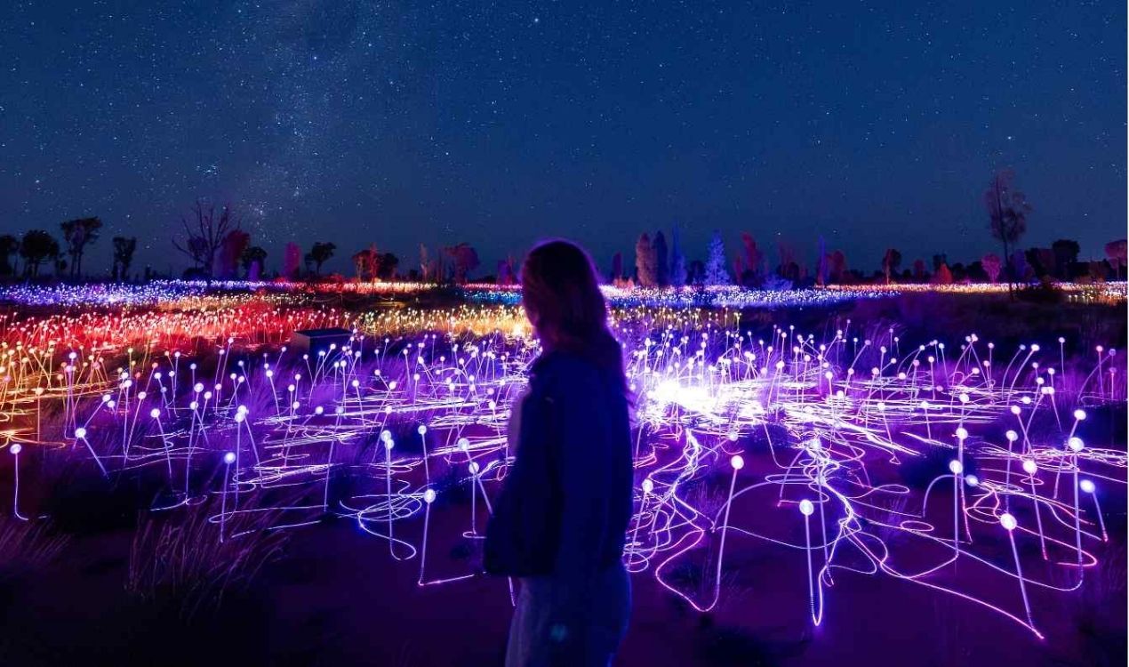 Field of Light Evening Experience
