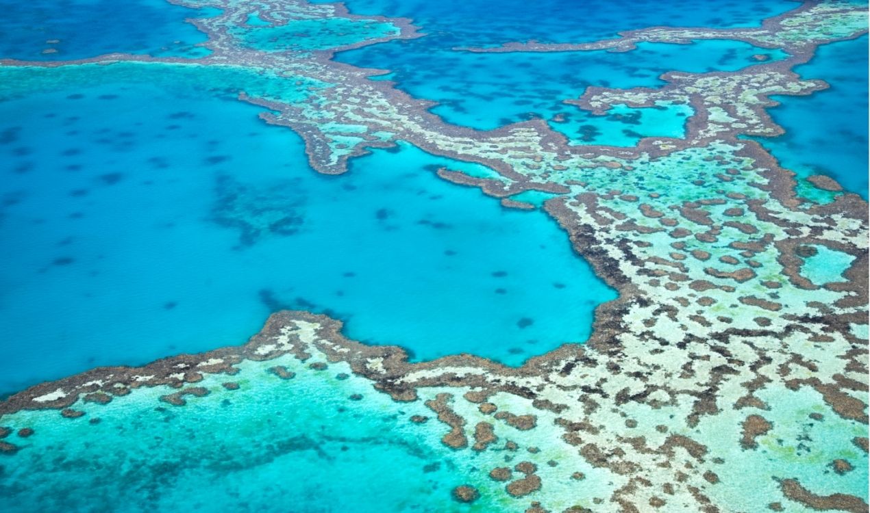 Great Barrier Reef Pontoon Day