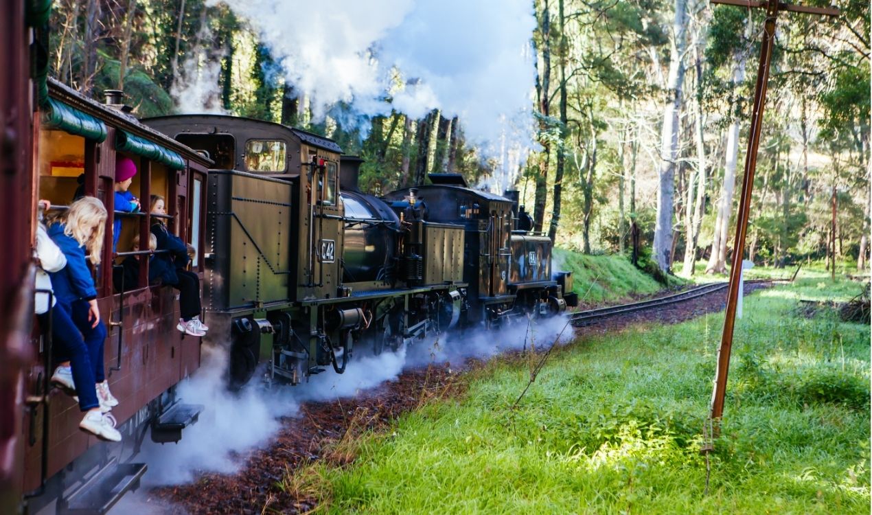 Puffing Billy Steam Train & Dandenong Ranges