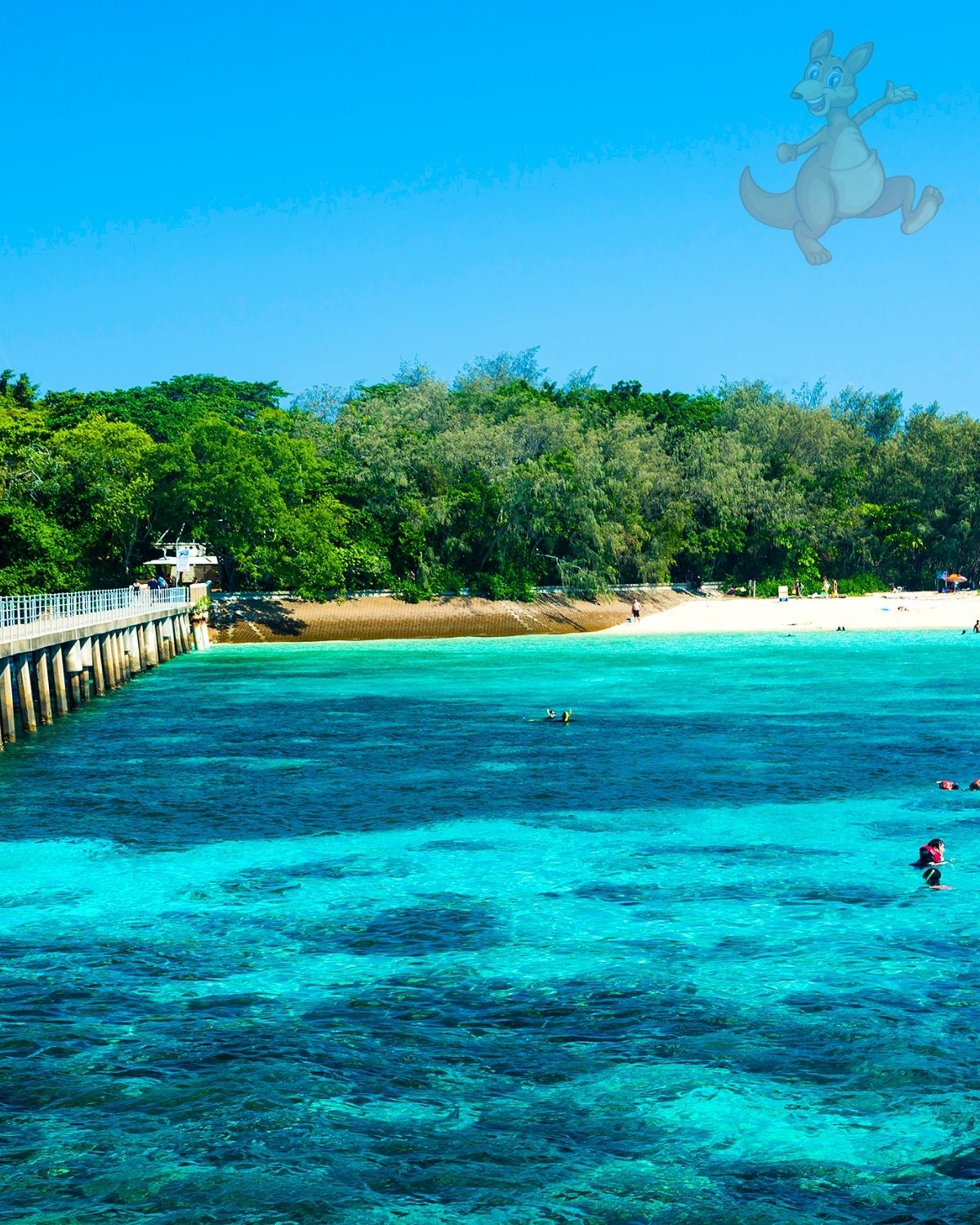 Great Barrier Reef, Cairns