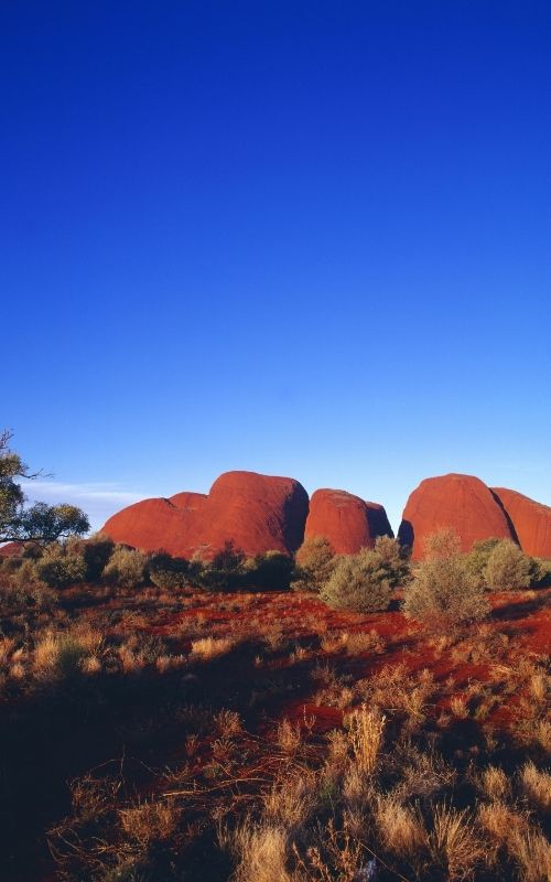 Field of Light installation Uluru