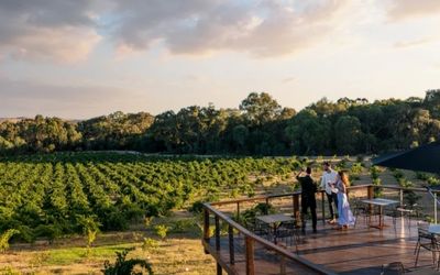 Barossa Valley vineyard tasting