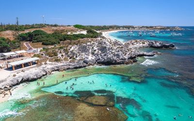 Rottnest Island quokka
