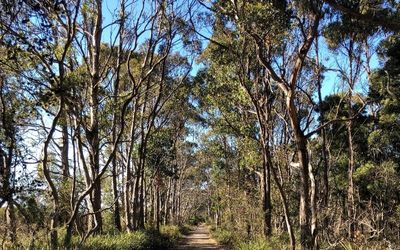 Bruny Island produce trail Tasmania