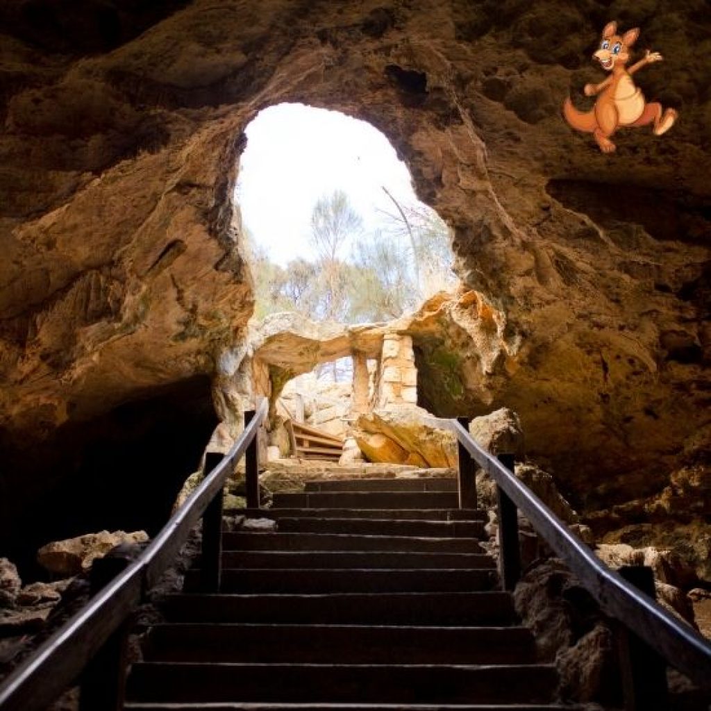 Kangaroo-Island