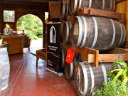tamborine-wine-tours